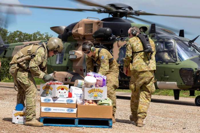 Dunia hari ini pilot australia yang diculik di papua nugini sudah dibebaskan