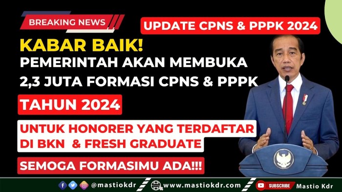 PADANG MEDIA - Ini Tanda Lulus Seleksi Administrasi PPPK 2024, di sscasn.bkn.go