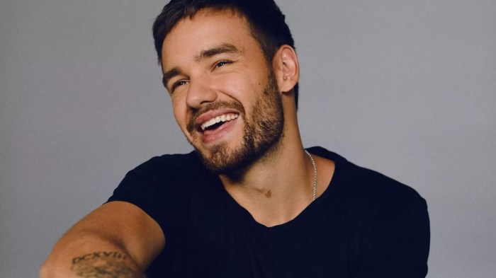 MEDIA INFORMASI INDONESIA koleksi album Liam Payne