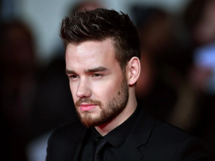 MEDIA INFORMASI INDONESIA Liam Payne dalam dunia film